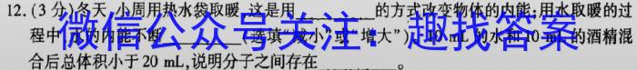 山西省大同市平城区2024届九年级上学期期中考试物理试卷答案