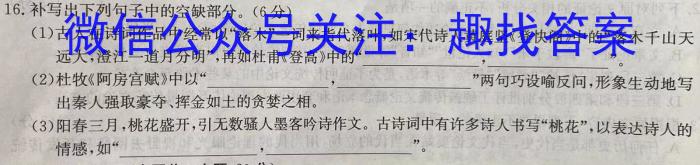 江西省2023-2024学年度高一年级上学期11月期中联考/语文