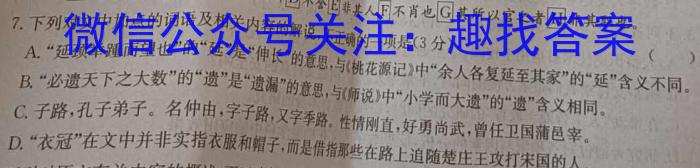 安徽省2023-2024学年九年级上学期教学质量调研三（页码名字）语文