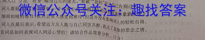 2024年普通高等学校招生统一考试 最新模拟卷(三)/语文