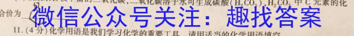 q陕西省礼泉县2023-2024学年度高一第一学期中期学科素质调研化学