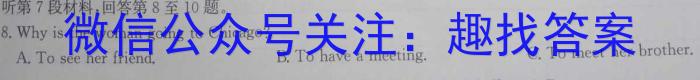 金考卷 百校联盟(新高考卷)2024年普通高等学校招生全国统一考试 领航卷(九)英语