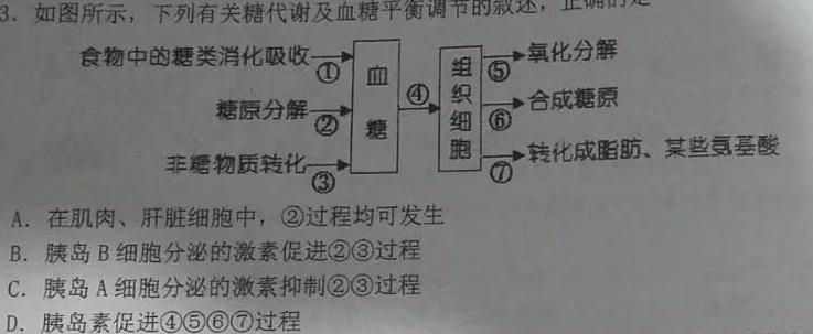 金考卷 百校联盟(新高考卷)2024年普通高等学校招生全国统一考试 领航卷(1)生物学部分