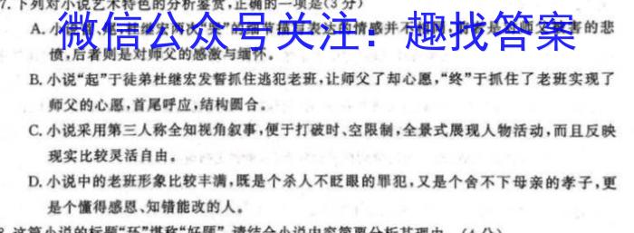 安徽省2023-2024学年九年级上学期教学质量调研三（页码名字）语文