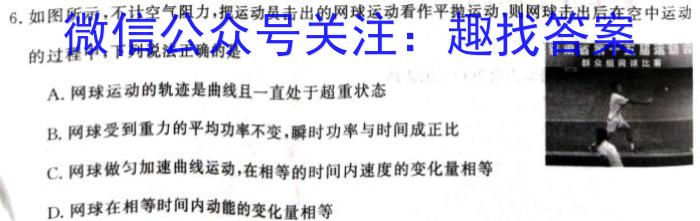 2023年湖北省孝感市高一11月期中考试物理`