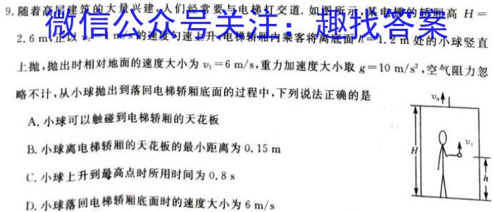 山东省泰安市肥城市2023-2024学年高一年级上学期期中联考物理试题答案