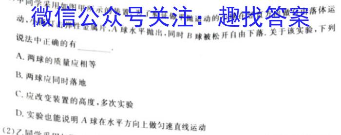 河北省沧衡八校联盟高三年级2023-2024学年上学期期中考试物理试卷答案