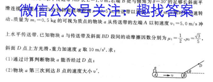 2024年普通高等学校招生全国统一考试（河北）物理`