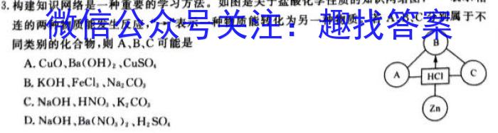 q安徽省淮北市2023-2024学年九年级12月月考（无标题）化学