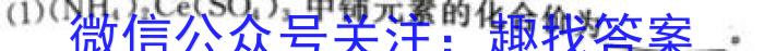 32024届衡水金卷先享题调研卷(JJ·A)(一)化学试题