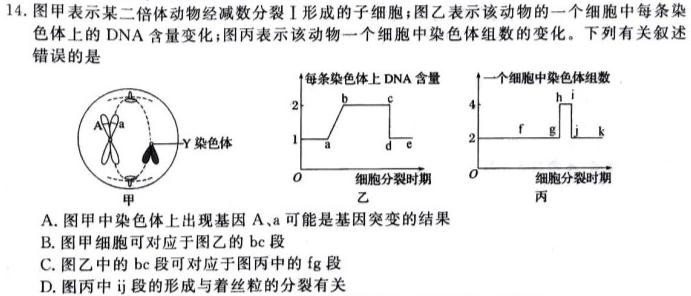 名校联考·贵州省2023-2024学年度秋季学期八年级（半期）质量监测生物学试题答案