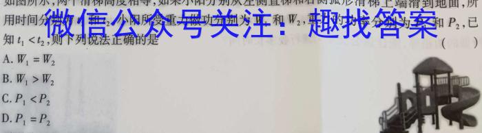 河北省2023-2024学年六校联盟高一年级期中联考（241258D）l物理