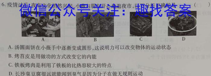 江西省2024届八年级第三次阶段适应性评估 R-PGZX A-JX物理试卷答案