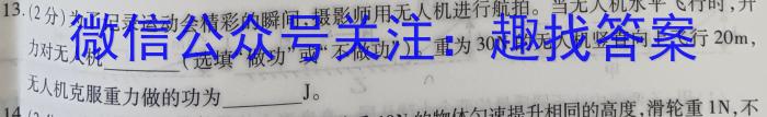 2023-2024辽宁省高二试卷12月联考(24-LN05B)物理试题答案