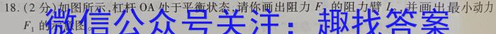 天一大联考 2023-2024学年(上)高二期中考试物理`