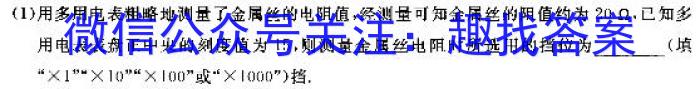 福建省2024届高三11月质量检测(FJ)物理`