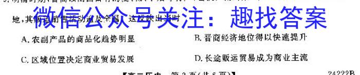 2024年普通高等学校全国统一模拟招生考试新未来高二12月联考历史