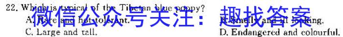 2024衡水金卷先享题高三一轮复习夯基卷(黑龙江)2英语