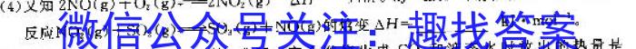 q安徽省2023-2024学年度八年级阶段诊断（三）化学