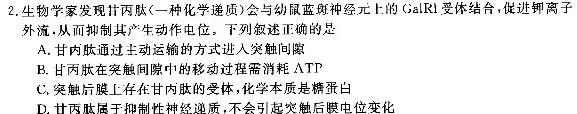 河北省2023~2024学年高三(上)期中考试(24-165C)生物学试题答案