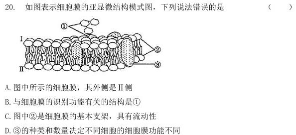 2024届衡中同卷调研卷全国卷 (一)1生物学部分