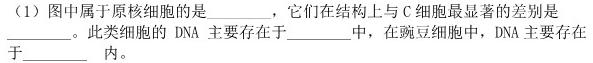 辽宁省2023~2024学年高二上学期协作校第二次考试(24-167B)生物学试题答案