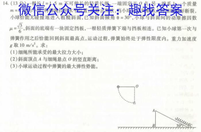 安徽省2024届九年级期中综合评估2L Rq物理