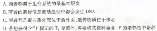 北镇三高2023-2024学年度高三年级第一学期第四次考试生物