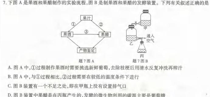 2024届内蒙古高三试卷11月联考(24-155C)生物学试题答案