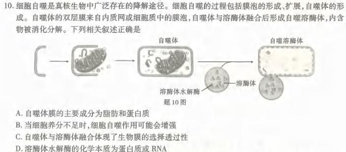 2024届衡水金卷先享题 调研卷(江西专版)(二)2生物学试题答案