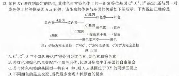 [宜宾一诊]2024届宜宾市普通高中2021级第一次诊断性测试生物学部分