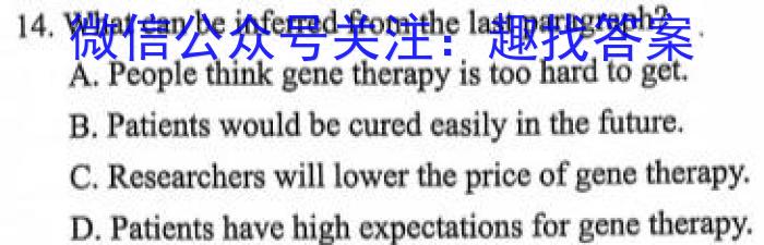 2024年普通高等学校全国统一模拟招生考试新未来高二12月联考英语