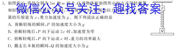 山东省泗水县2023-2024学年第一学期高三年级期中考试物理试卷答案