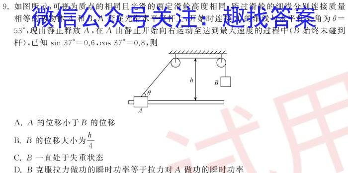 华大新高考联盟2024届高三11月教学质量测评(新教材卷)物理试题答案