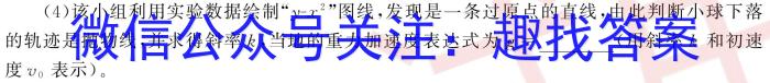 2023~2024学年度高二高中同步月考测试卷 新教材(四)物理试卷答案