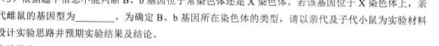 安徽省2024届九年级期中综合评估2L R生物学试题答案