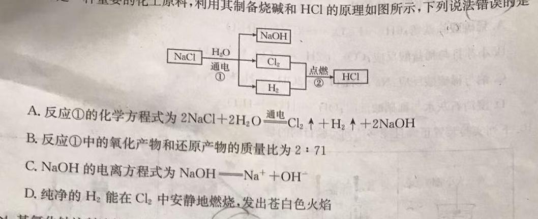 1河北省2023~2024学年高三(上)期中考试(24-165C)化学试卷答案