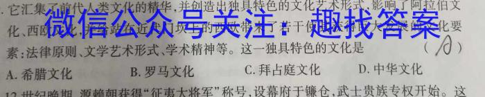 2023-2024学年天一大联考·安徽卓越县中联盟高三（上）期中考试历史