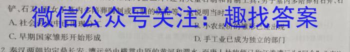 山东普高大联考高二11月联合质量测评历史