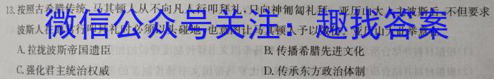 24届高三年级TOP二十名校调研考试八历史