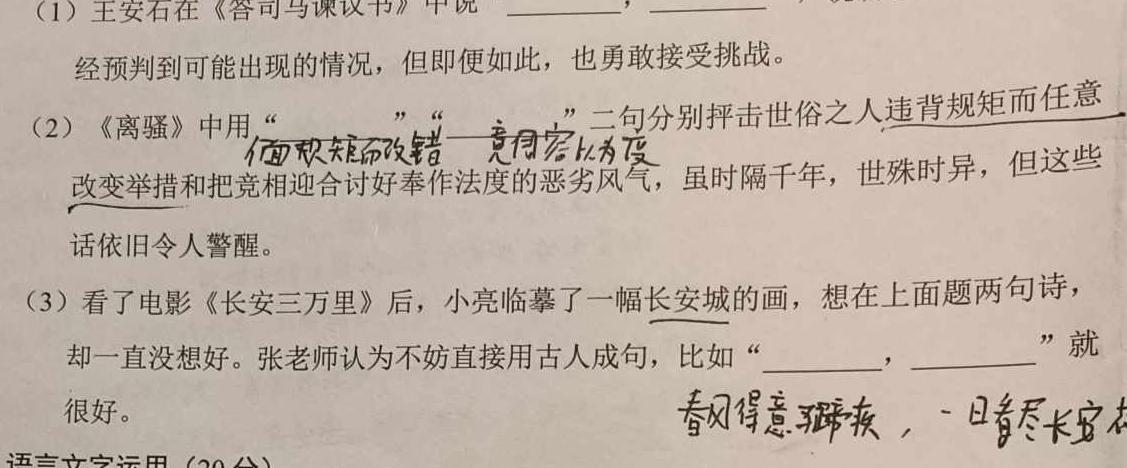 ［青桐鸣大联考］河南省2023-2024学年高二年级学业质量监测考试语文试卷 答案
