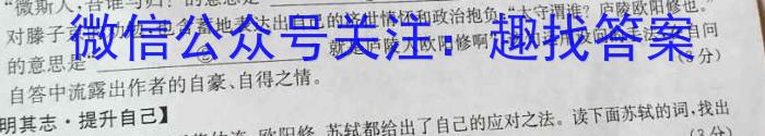 江西省2024届九年级上学期质量监测考试语文