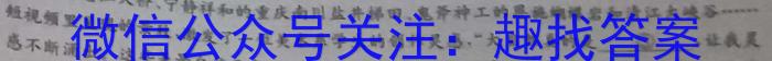 河北省2024届高三年级大数据应用调研联合测评(Ⅱ)语文