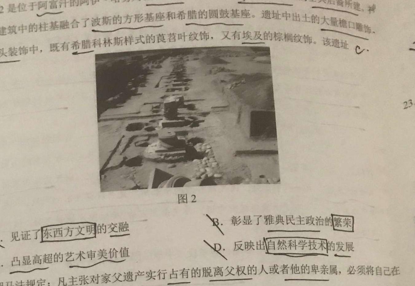 三重教育 2023-2024学年第一学期高一期中学业诊断历史试卷答案