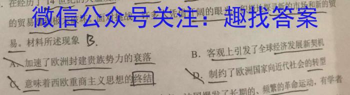 安徽省2023-2024学年九年级第一学期教学质量检测（二）历史