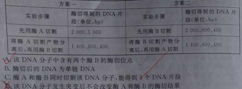 2024届高三百万联考11月联考生物学试题答案