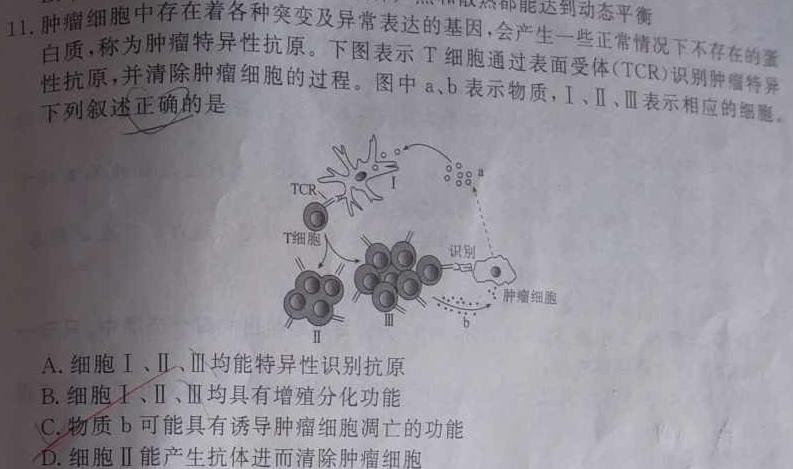 华大新高考联盟2024届高三11月教学质量测评(新教材卷)生物学部分