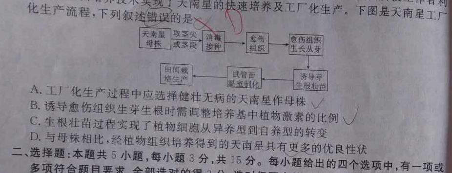 2024届高三12月大联考（新高考7省联考·新教材）生物学试题答案