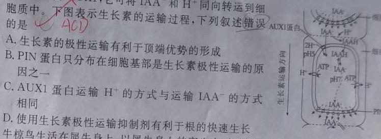 山东省潍坊市2023-2024学年高二上学期期中质量监测生物