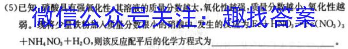 3河南省2023~2024学年度九年级综合素养评估(三)R-PGZX C HEN化学试题